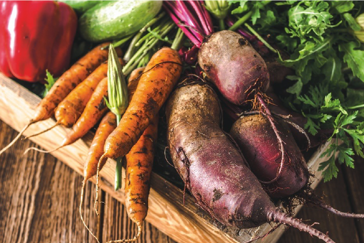 How to grow your own Christmas dinner