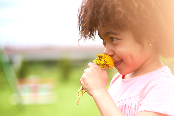 Smelling Guessing Game