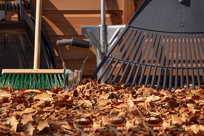 Tidy up your garden for autumn 