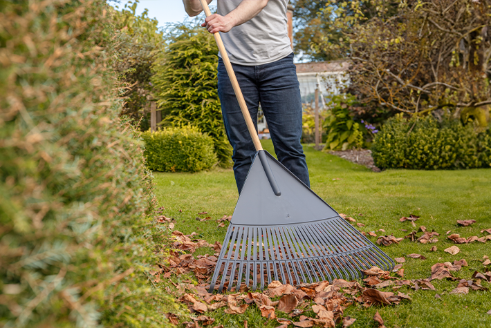 Gardening tips for October