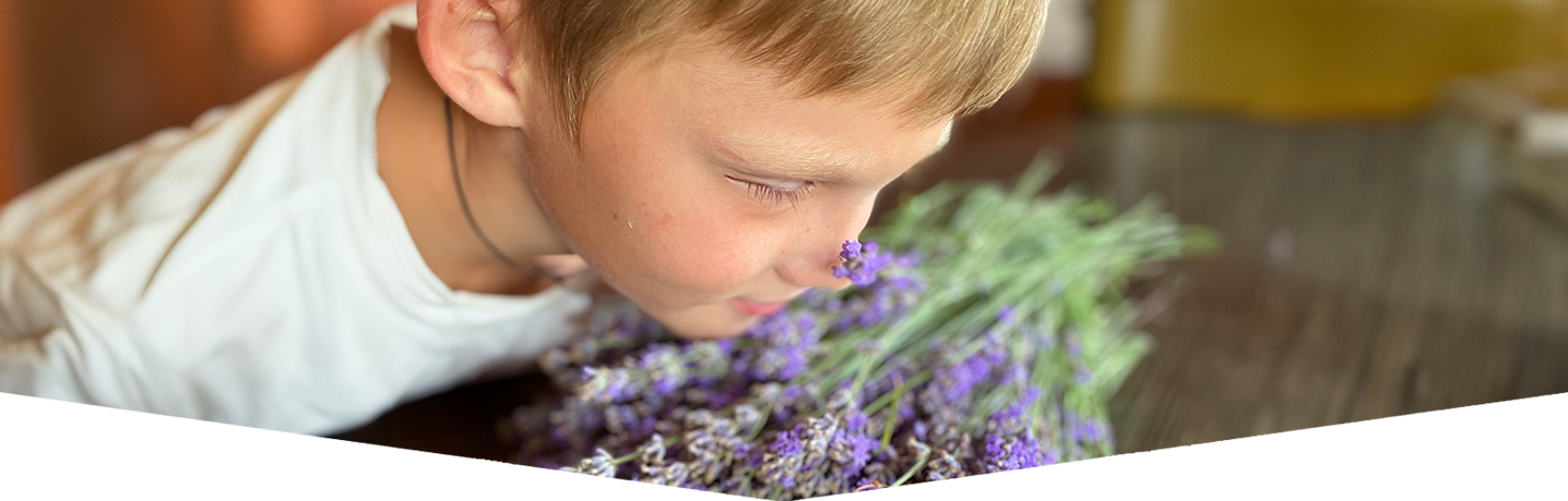 Smelling Guessing Game