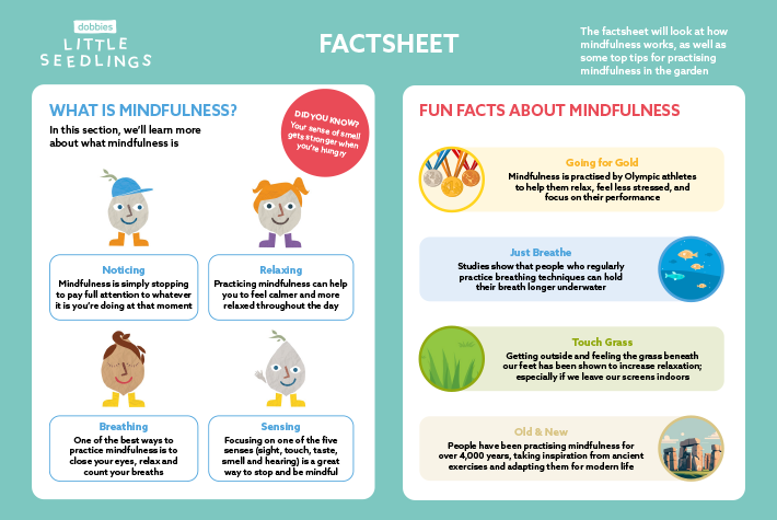 Little Seedlings_September_2024_FactSheet
