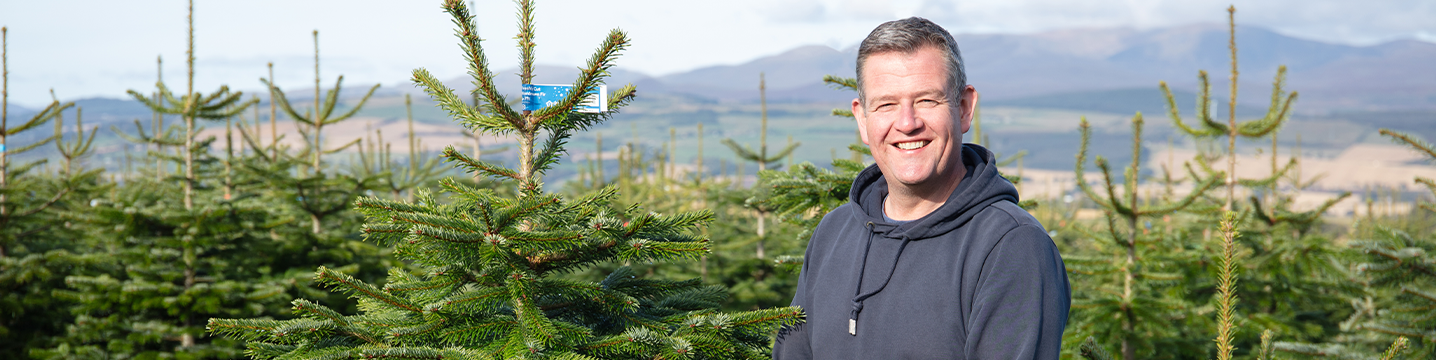 Dobbies community Christmas trees