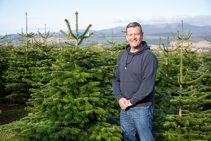 Dobbies Community Christmas Trees