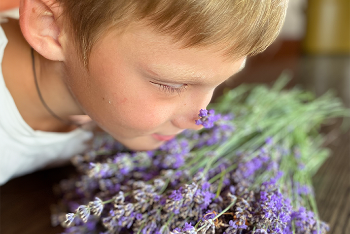 Smelling Guessing Game