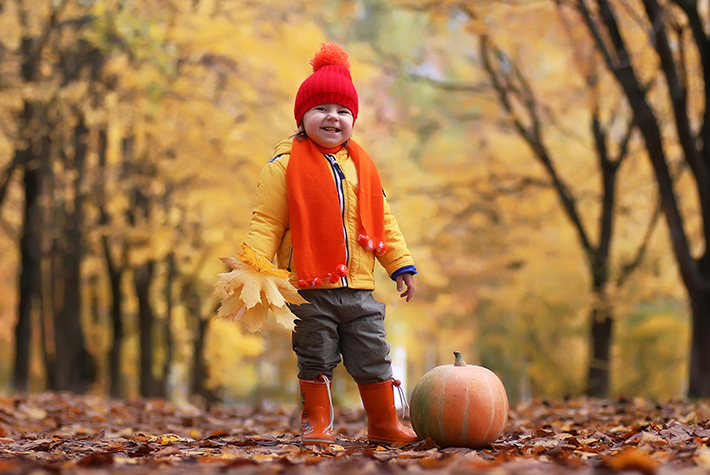 Seasonal Garden gifts