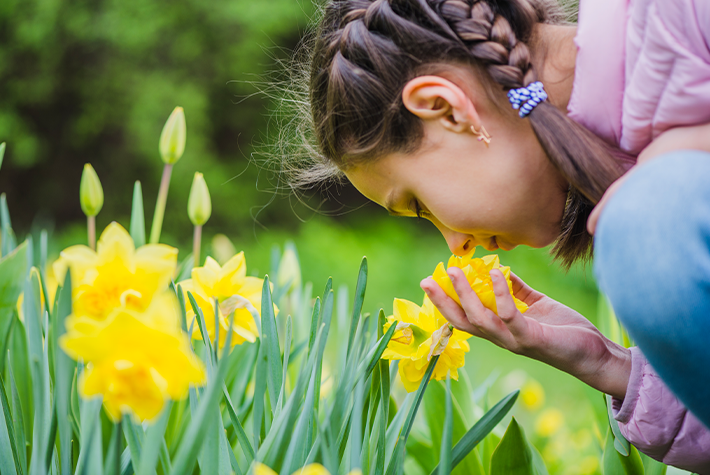 Seasonal Garden gifts
