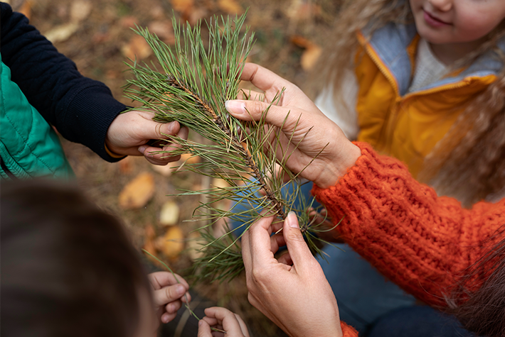 Crafty Christmas cards