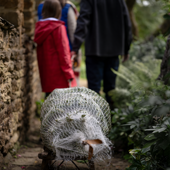 Our sustainable approach to real trees