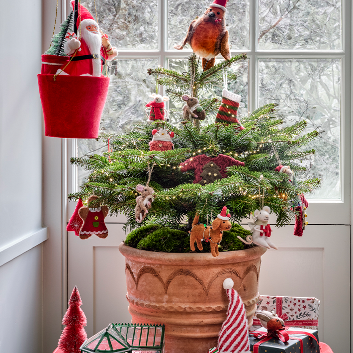 Real trees for every home