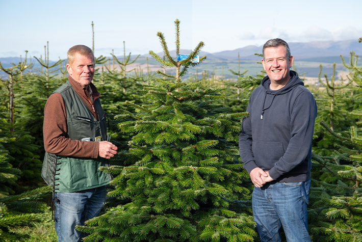 Our sustainable approach to real trees