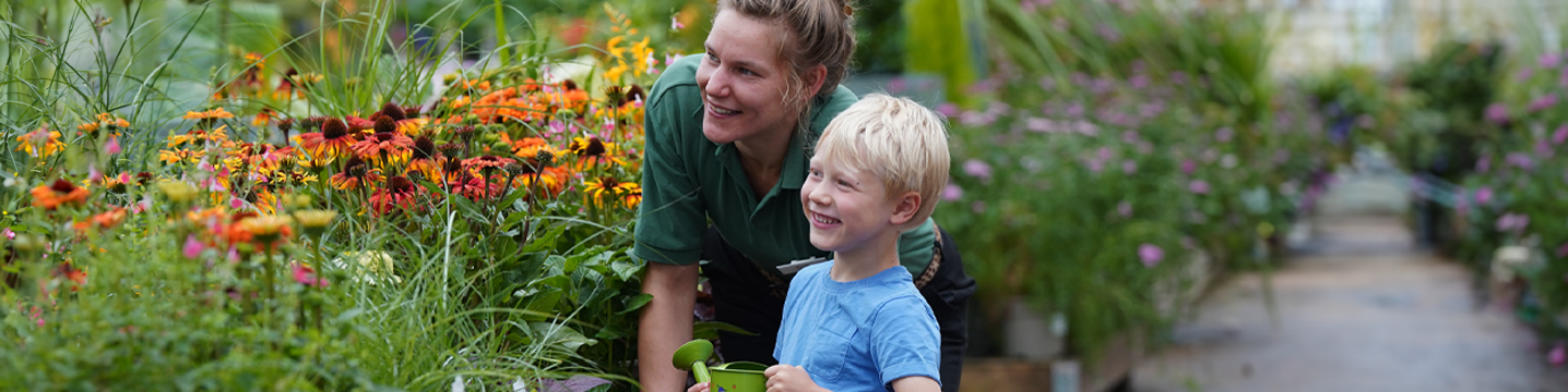 Dobbies in the community