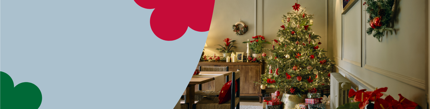 Real Christmas trees