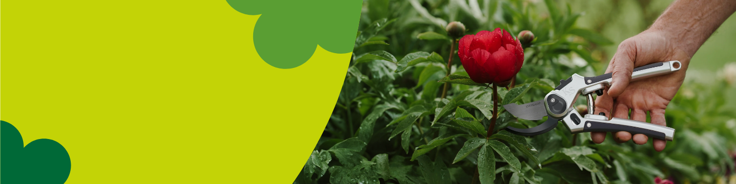 Kent & Stowe Garden Tools