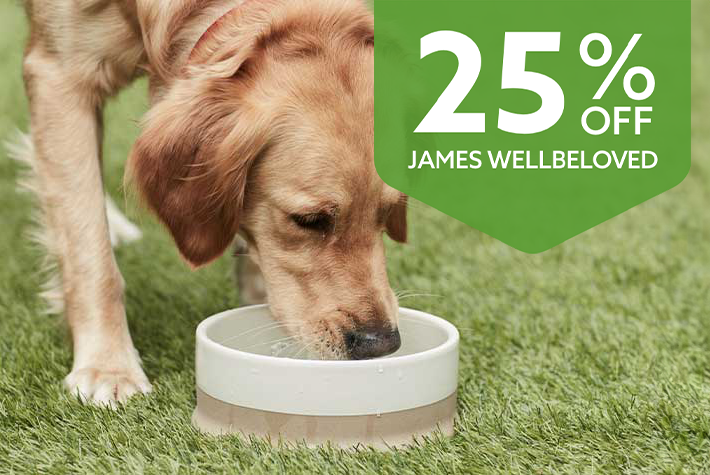 25% off James Wellbeloved dog food