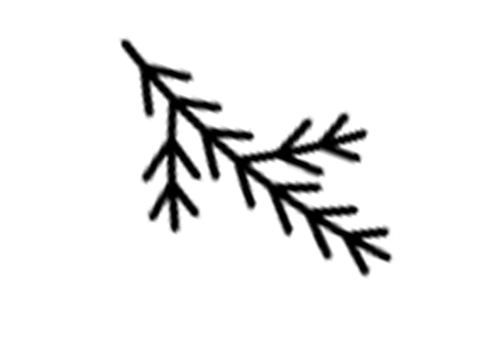 Excellent needle retention