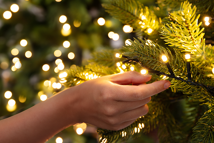 Christmas, in every sense - shop our ads!