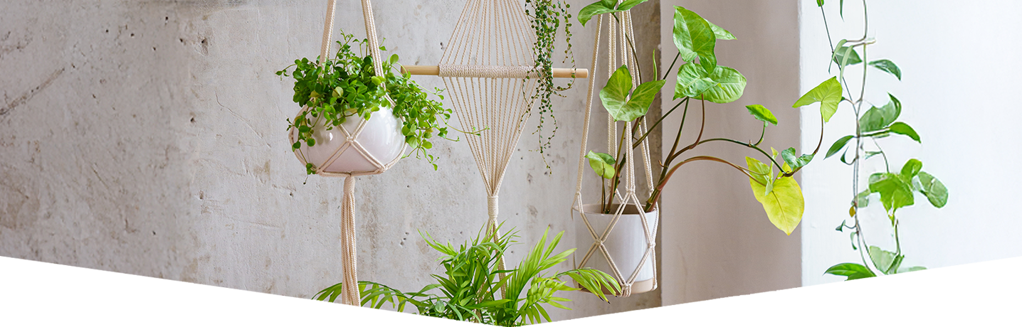 Macramé Plant Hanger