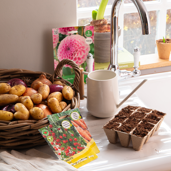 Gardening tips for January