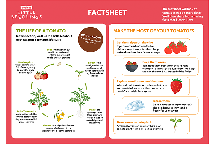 Tomatoes factsheet