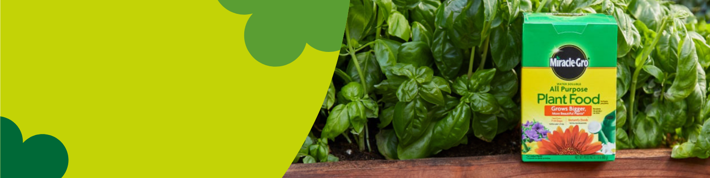 Miracle-Gro Plant Food & Fertilisers