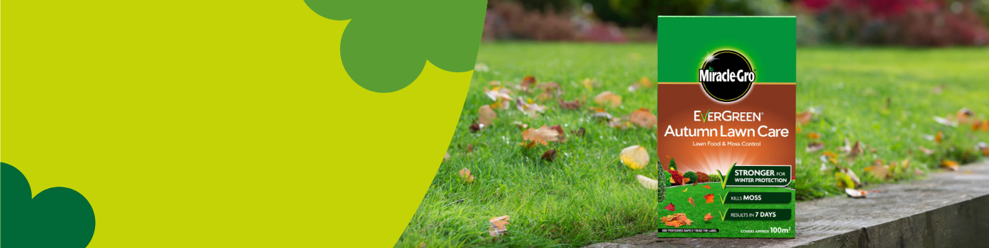 Miracle-Gro Lawn Feed & Seed