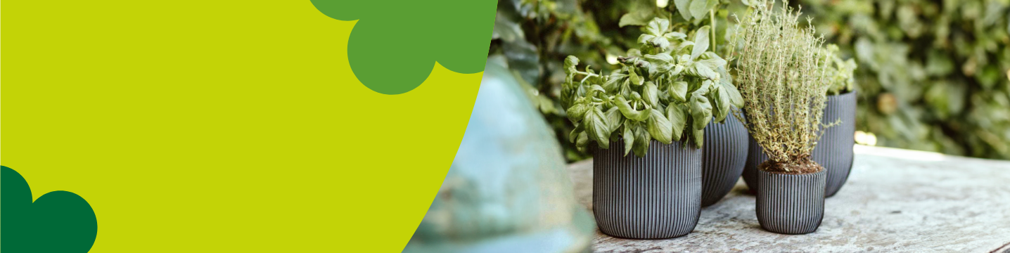 Capi Planters & Watering Cans