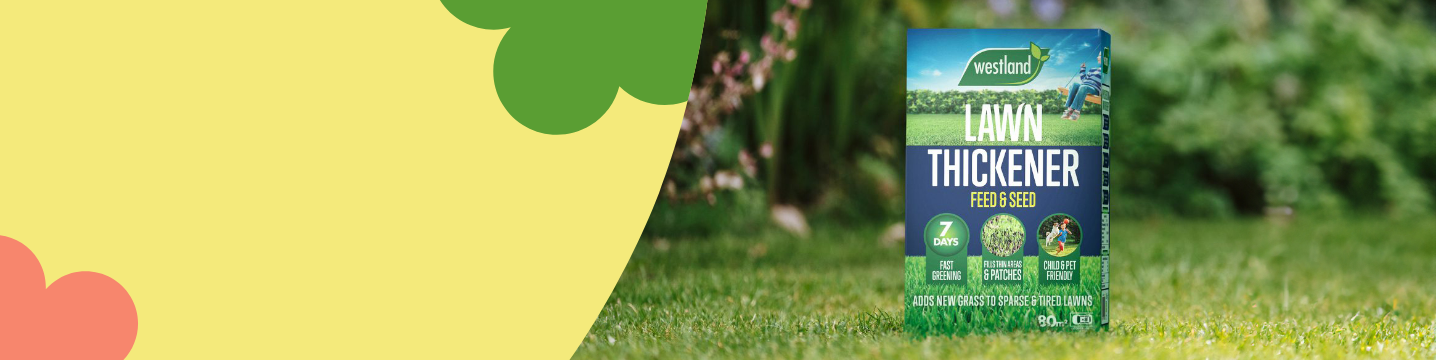 Westland Lawn Feed & Seed