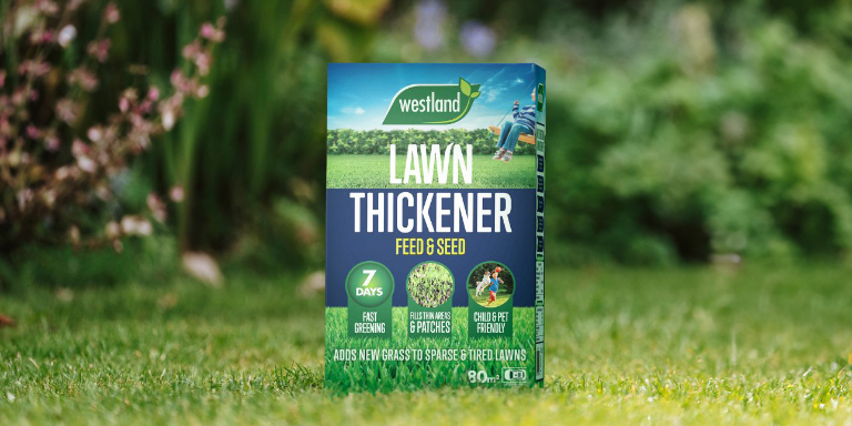 Westland Lawn Feed & Seed | Dobbies Garden Centres
