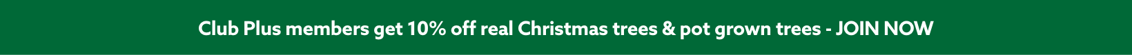Club Plus members get 10% off real Christmas trees & pot grown trees - JOIN NOW
