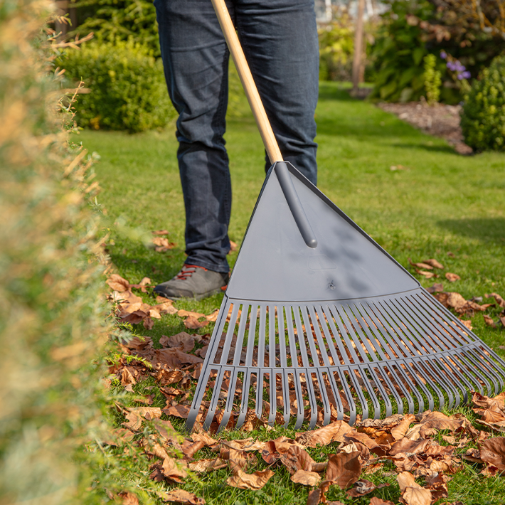 Gardening tips for December