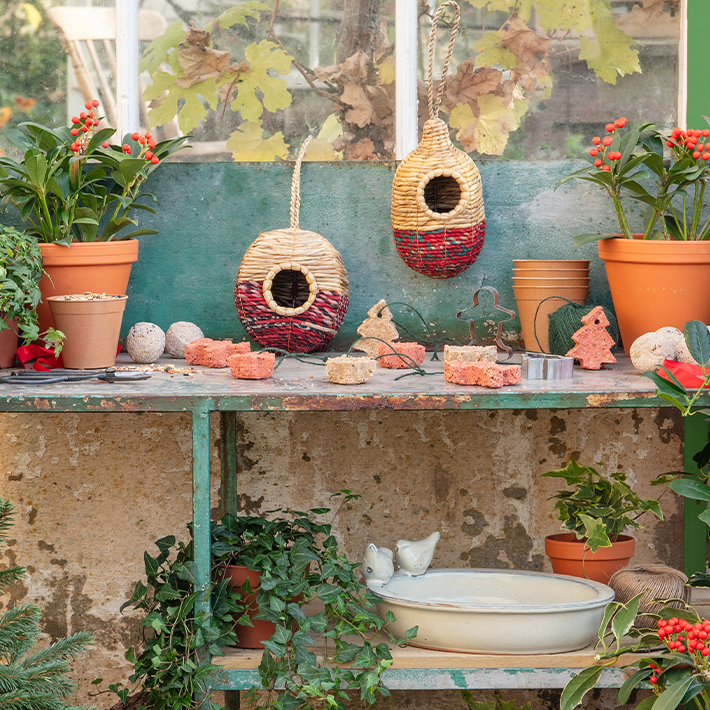 Gardening tips for December