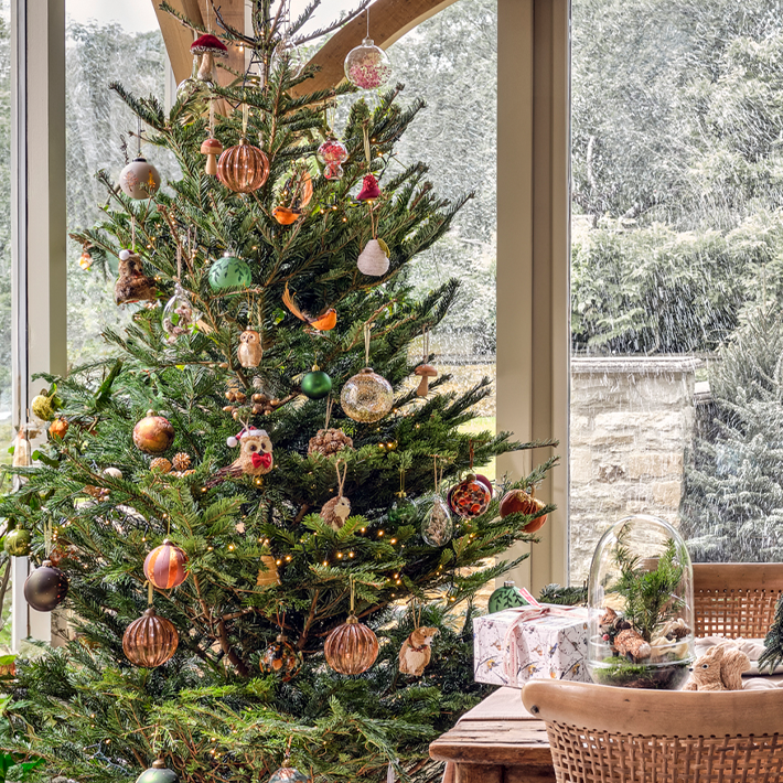 Caring for your Christmas tree