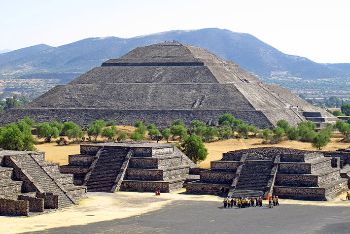 Learn about tomatoes