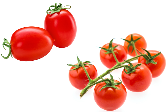 Learn about tomatoes