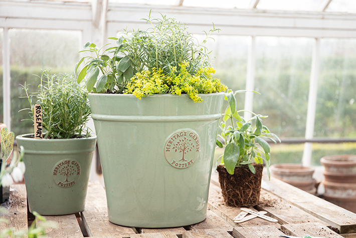 How to create a herb planter