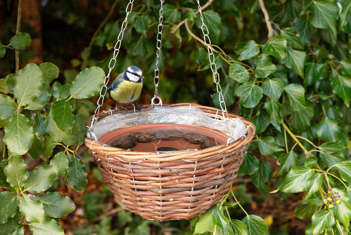 Make a hanging bird bath