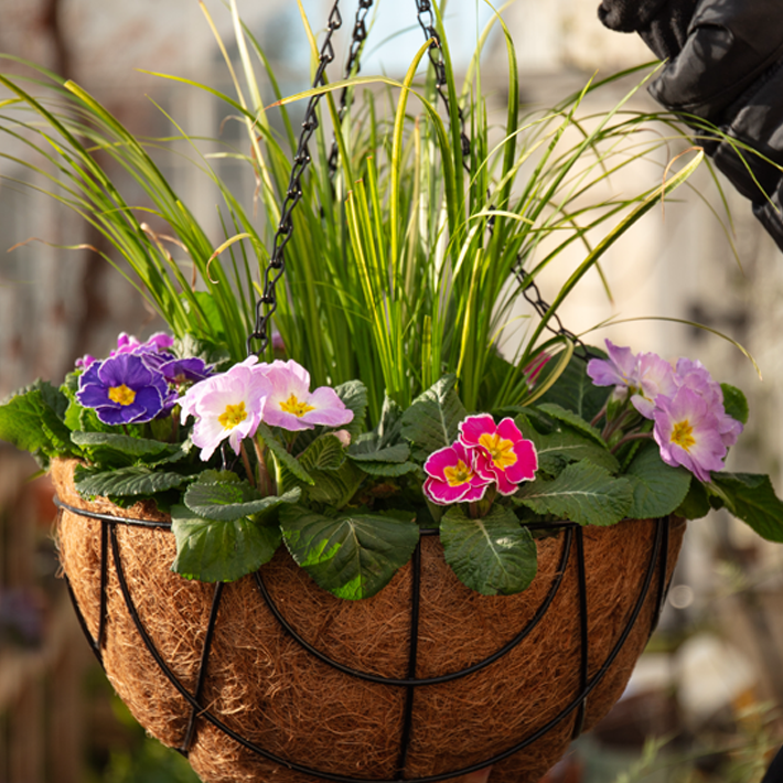Essential spring gardening jobs