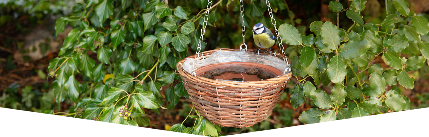 Make a hanging bird bath