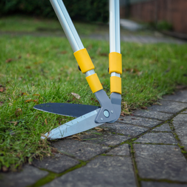 Tidy your lawn edges 