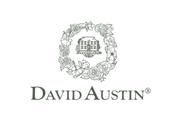 David Austin