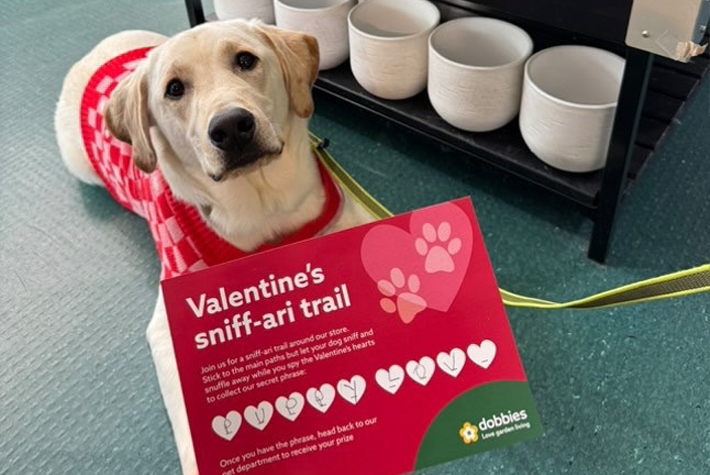 Dogs at Dobbies February winner