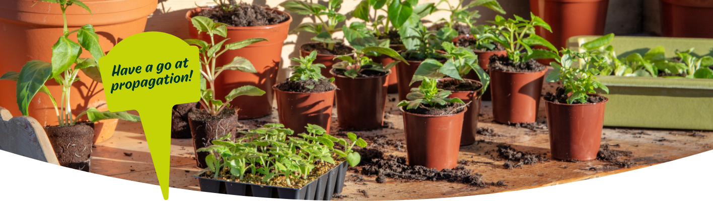 Beginners guide to propagation