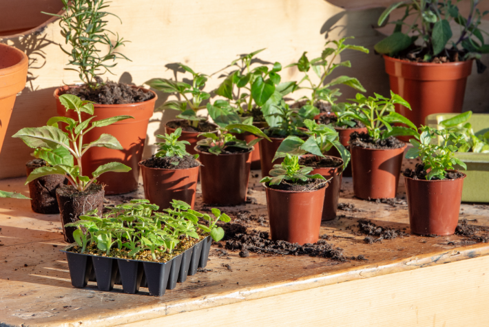 Beginners guide to propagation