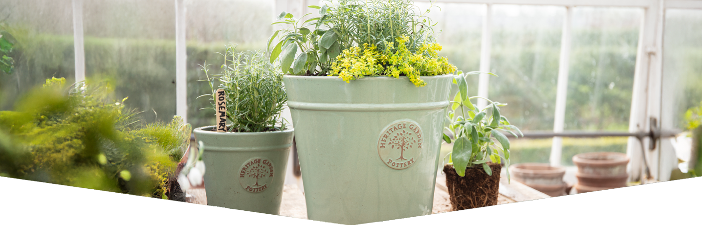How to create a herb planter