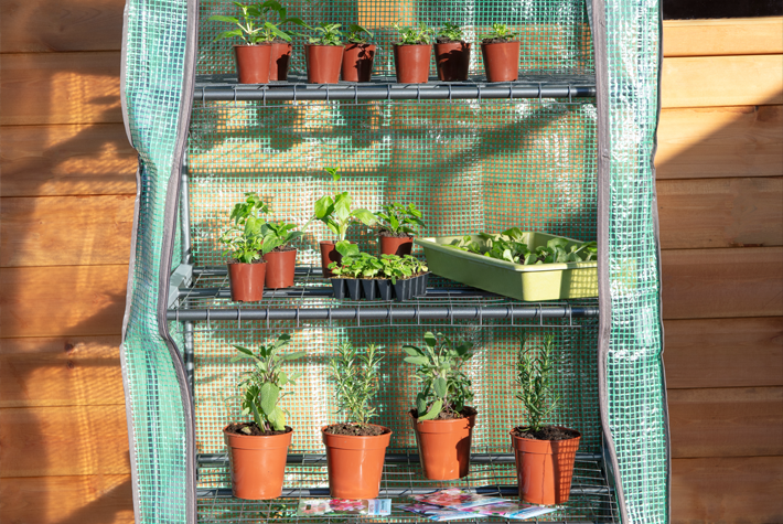 How to protect your plants in spring