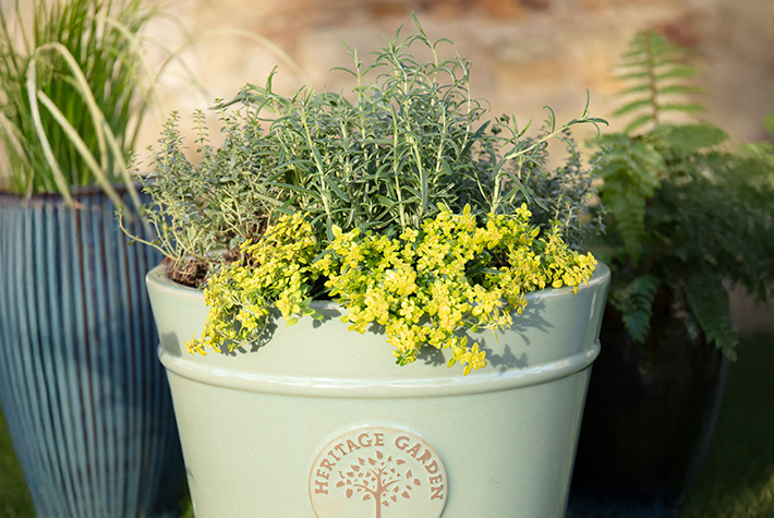 How to create a herb planter