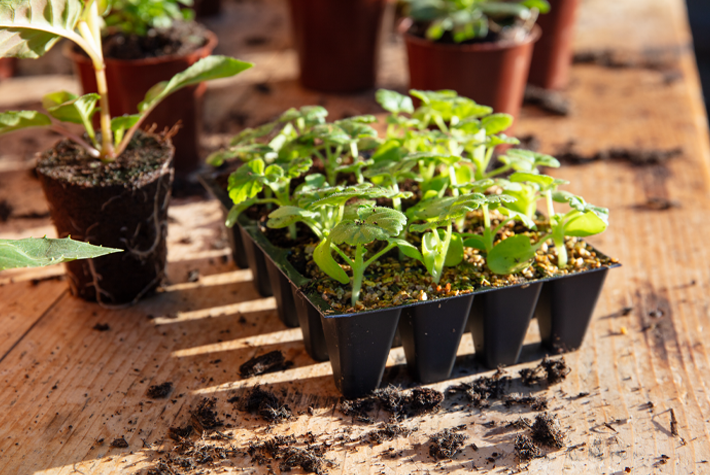 Beginners guide to propagation