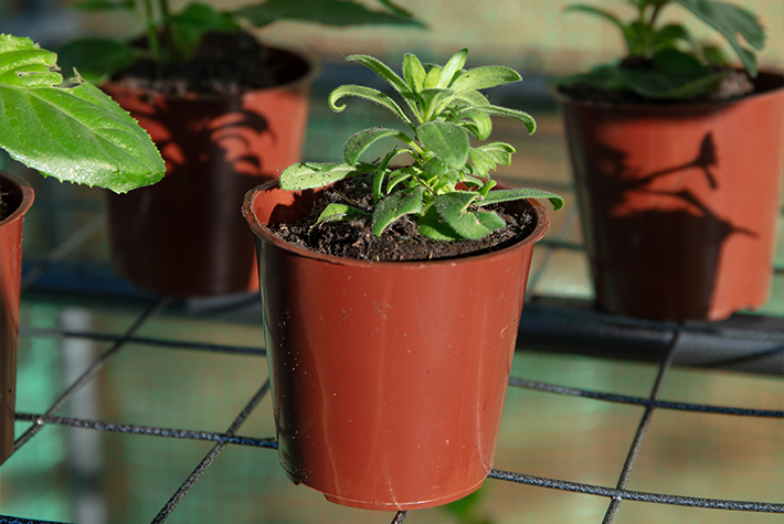 Beginners guide to propagation