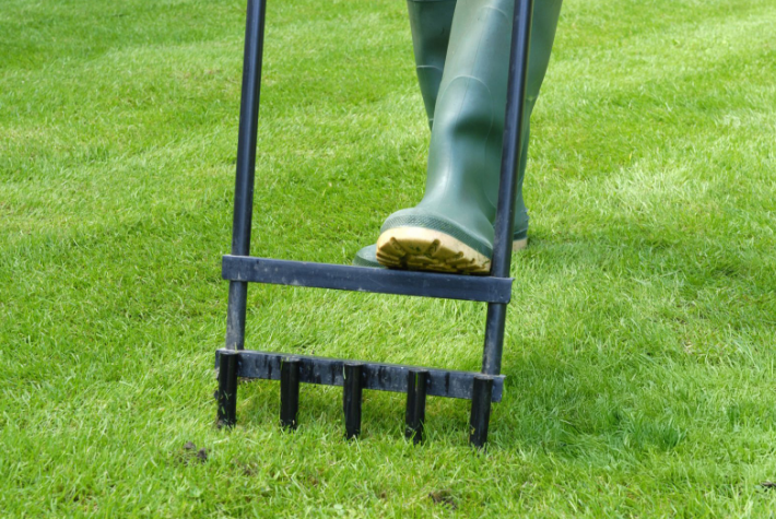 Aerate your lawn 